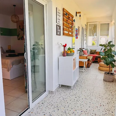 Gardenia אופטיה