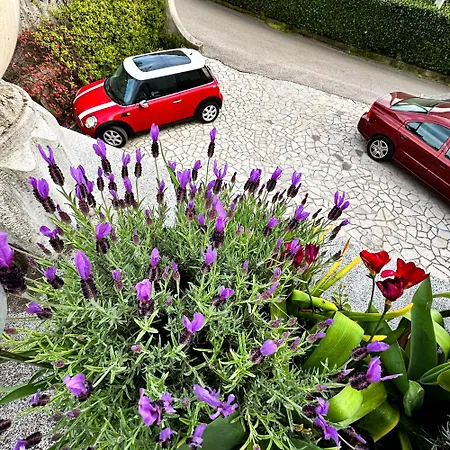 Gardenia * אופטיה