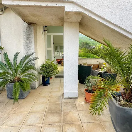 Gardenia 오파티아