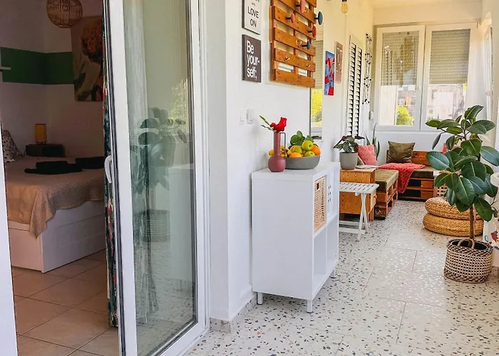 Gardenia 오파티아